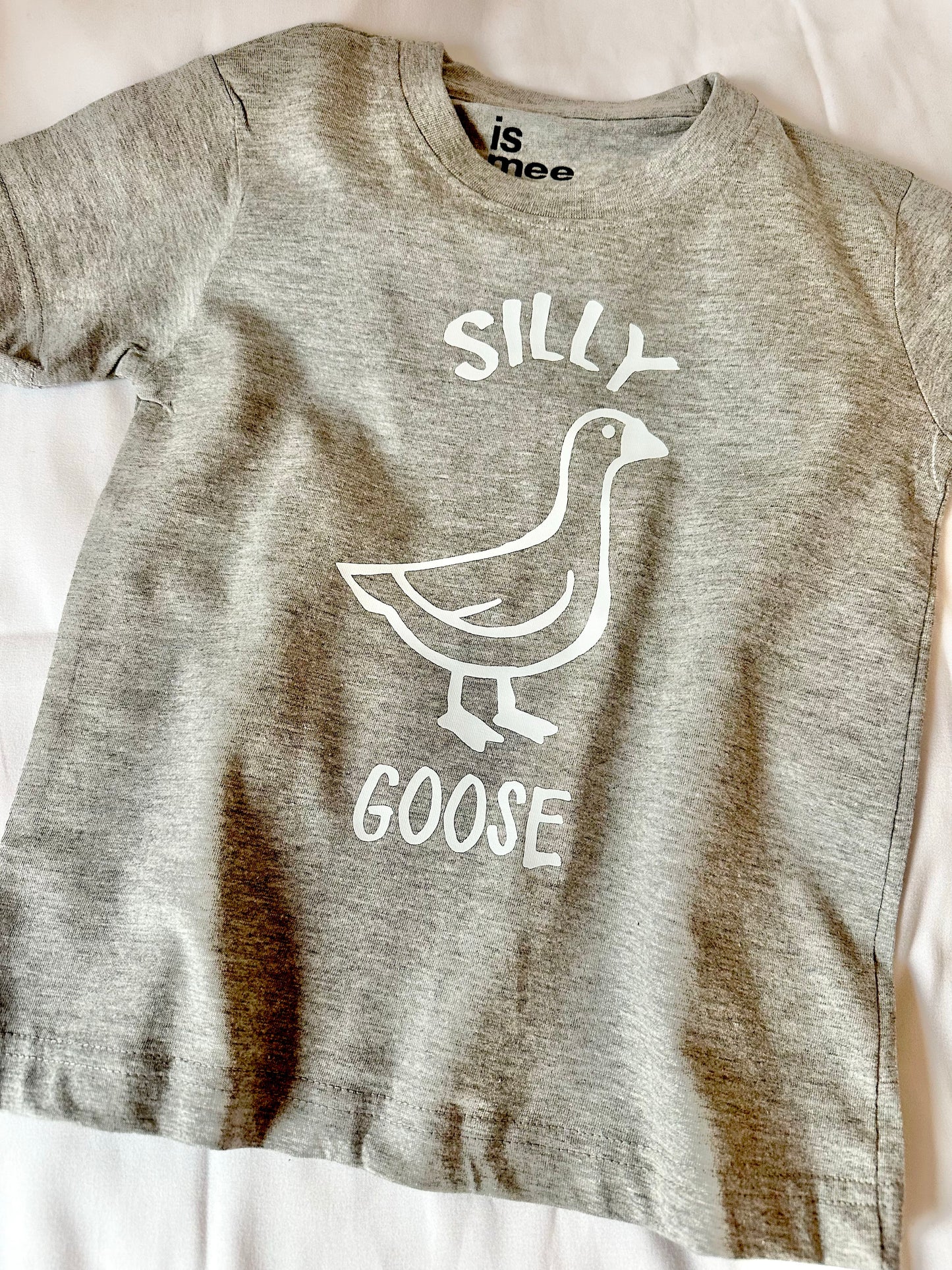 Boys Silly Goose T shirt