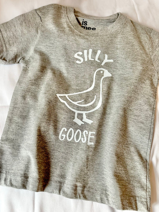 Boys Silly Goose T shirt