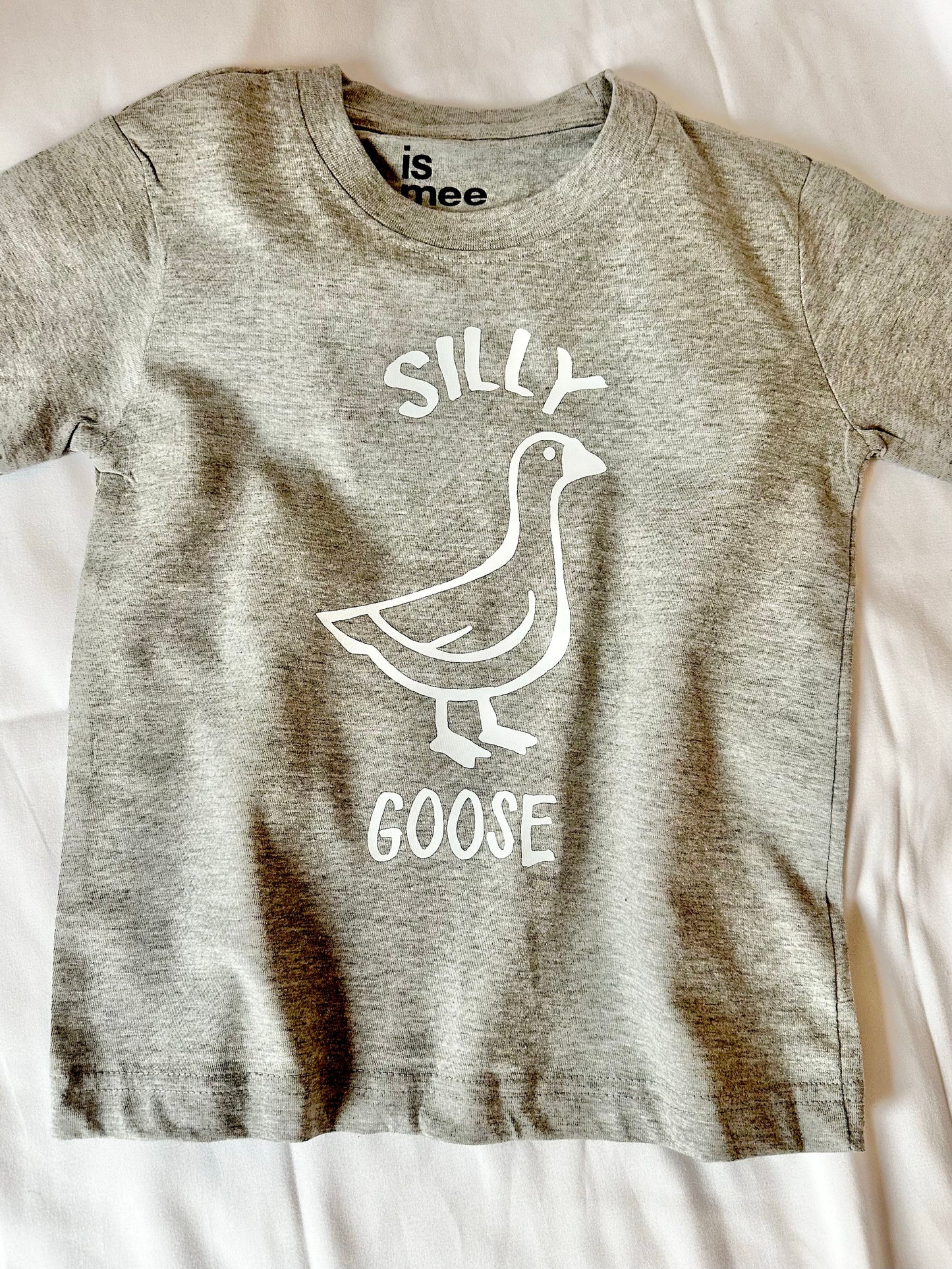 Boys Silly Goose T shirt